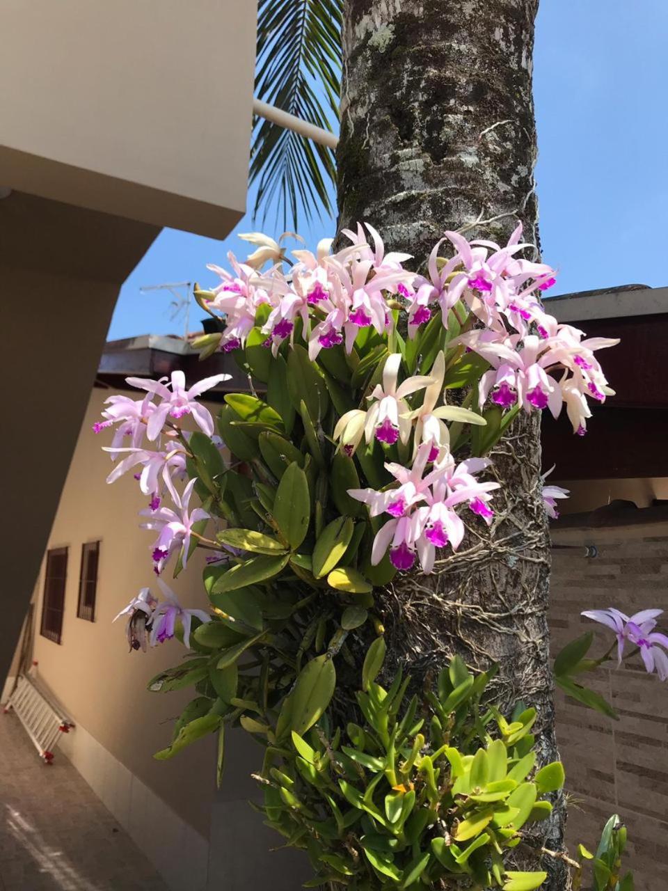Recanto Lorenzi - Apartamentos อูบาตูบา ภายนอก รูปภาพ
